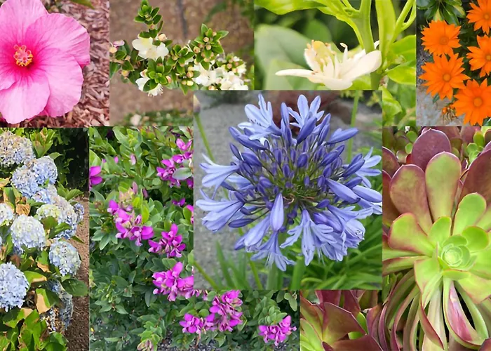 Сasa de vacaciones Garden Golf Tenerife