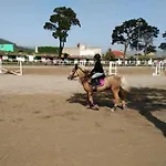 別荘 Garden Golf Tenerife タコロンテ